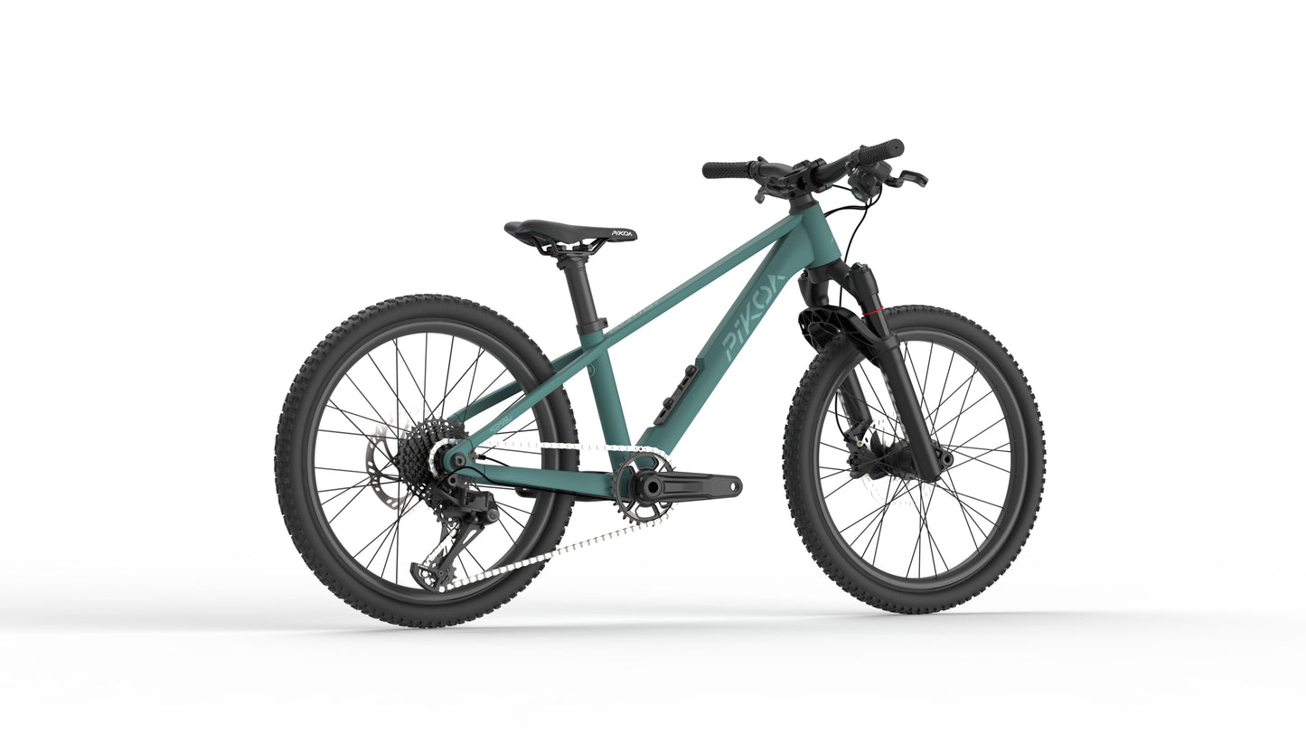 PIKOA ROWDY 20"